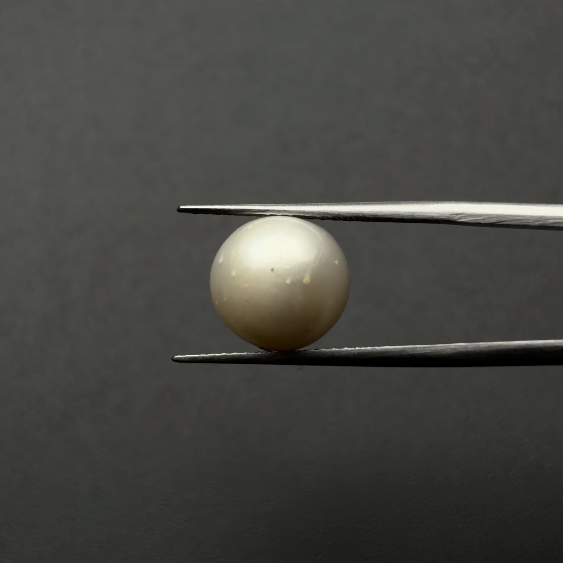 South Sea Pearl