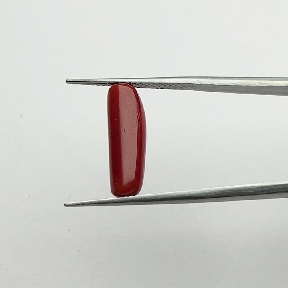 Red Coral | 5.50 Ratti