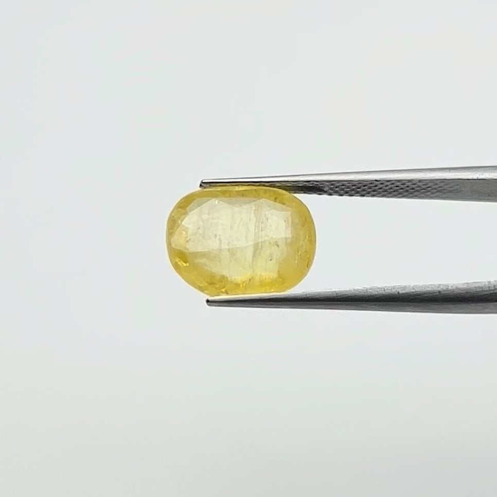 Yellow Sapphire | 7.00 Ratti