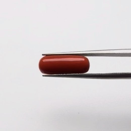 Red Coral | 5.00 Ratti