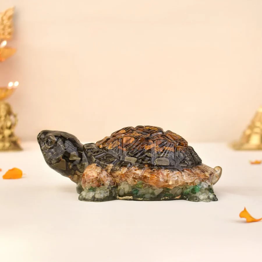 Dhan Yog Tortoise