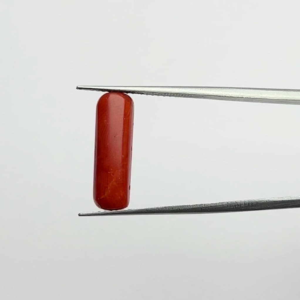 Red Coral | 5.00 Ratti
