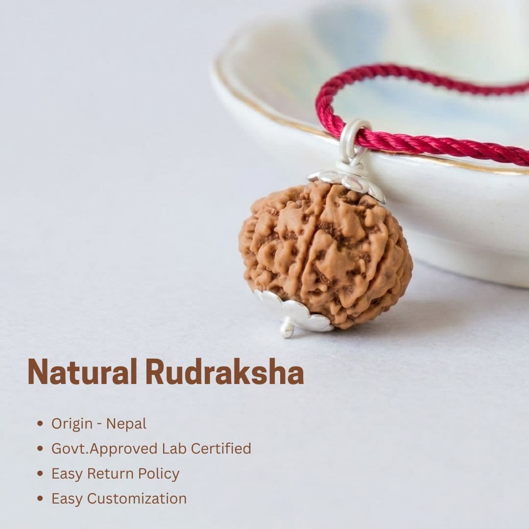6 Mukhi Rudraksha
