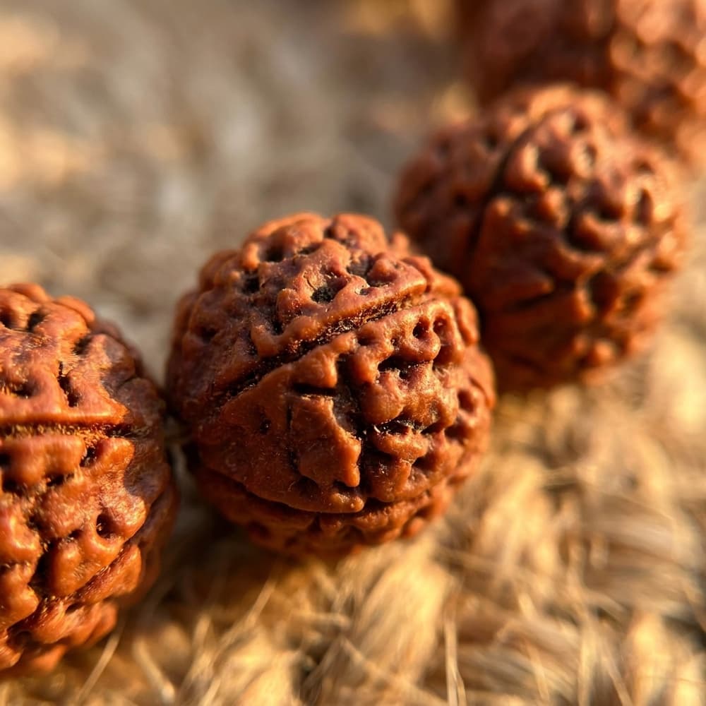 5 Mukhi Rudraksha Mala — additional view