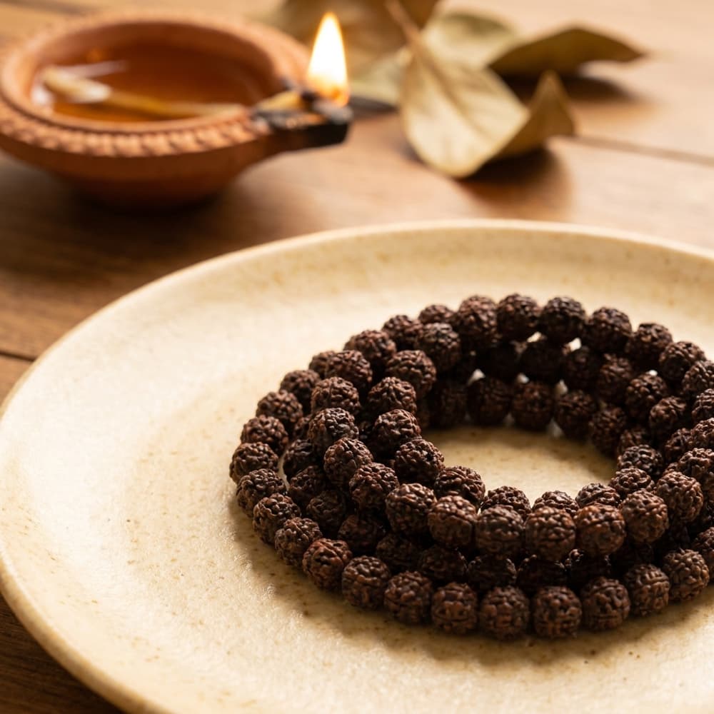 Siddh Energized Rudraksha Bracelet